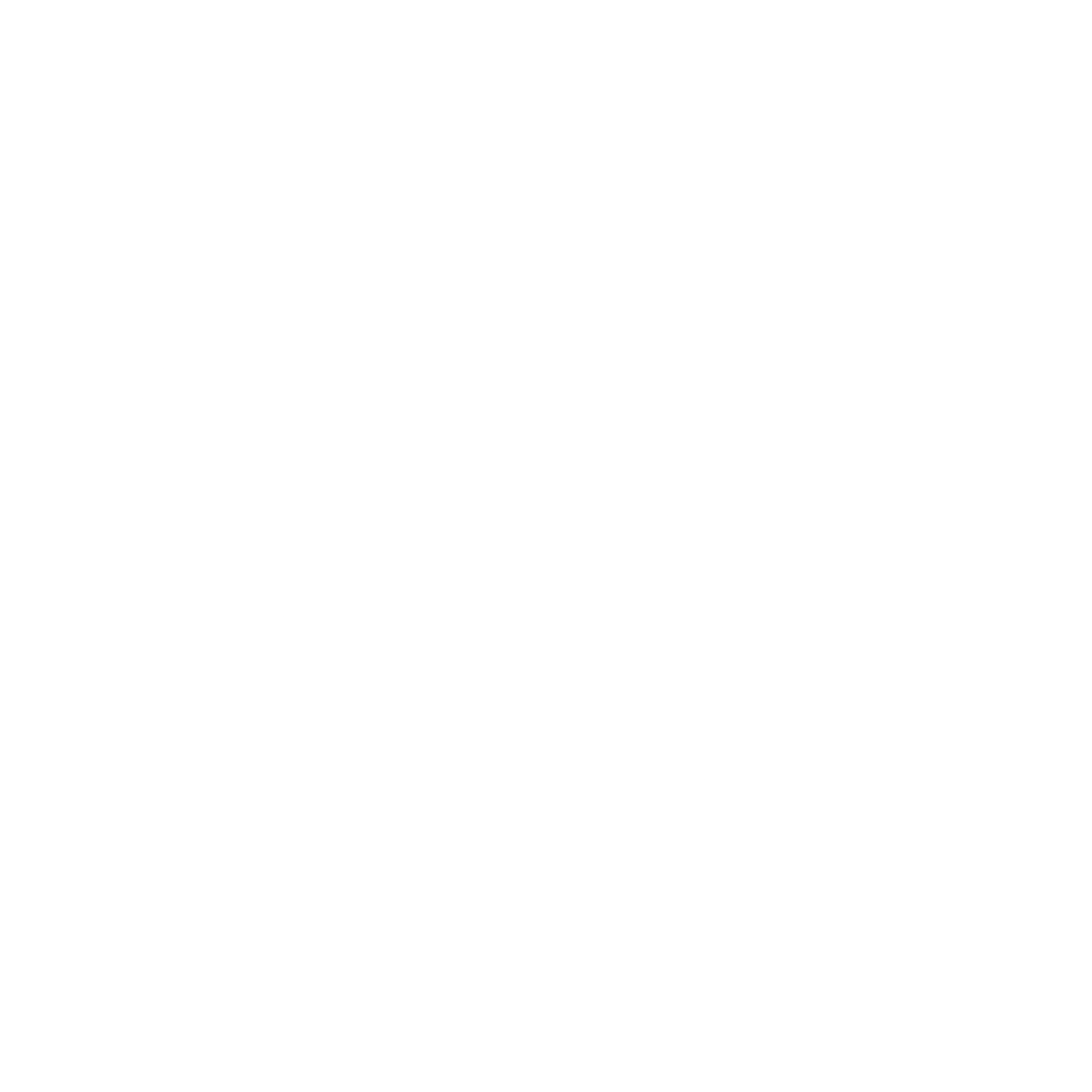 Power Team FM